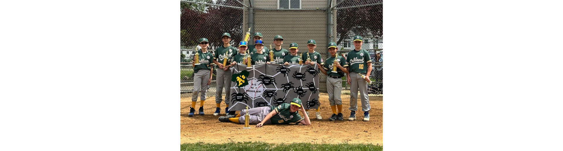 Baseball Majors Division Champs 