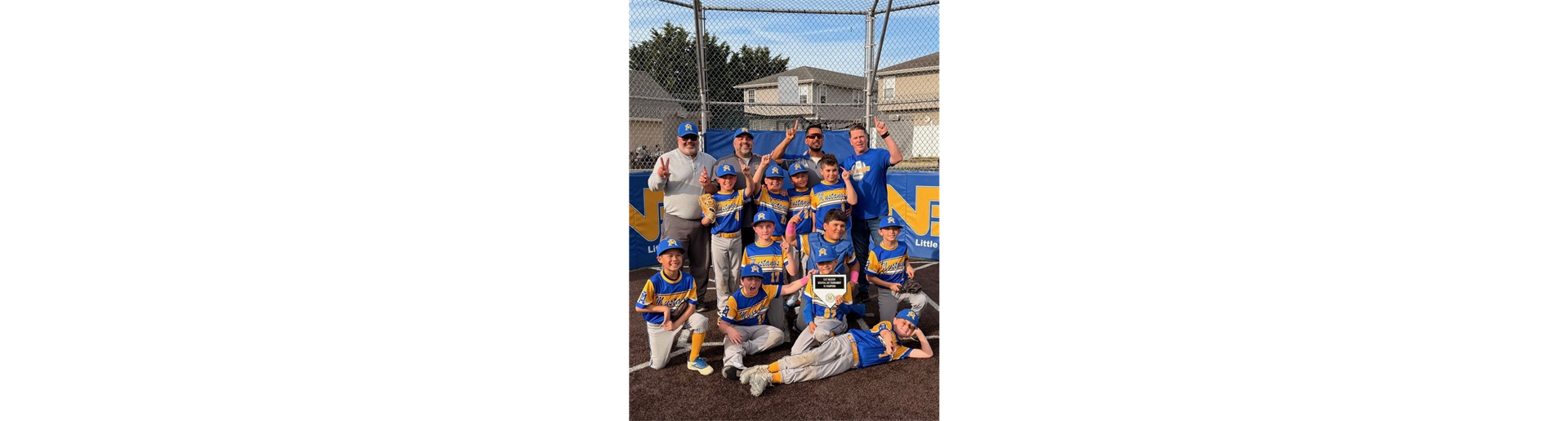 East Meadow - Baseball 9U American League Winners!!!